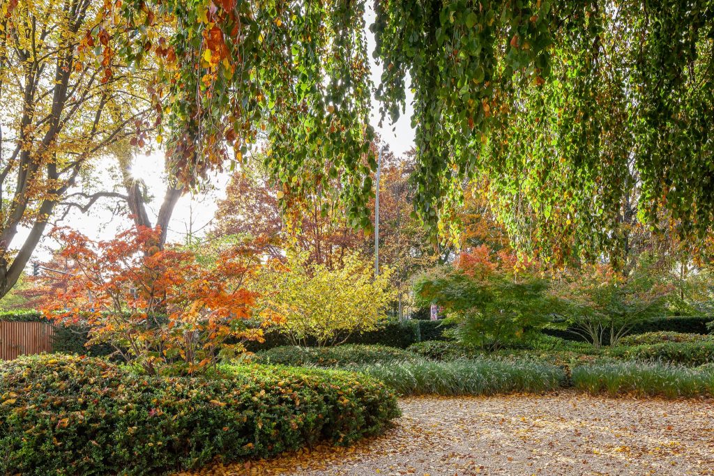 Revitalisierung einer denkmalgeschützten Gartenanlage von 1920, Hamburg